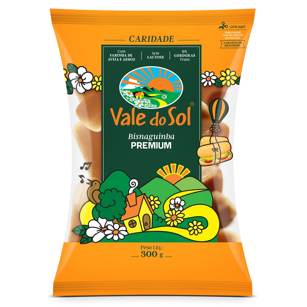 BISNAGUINHA VALE DO SOL PREMIUM 300G