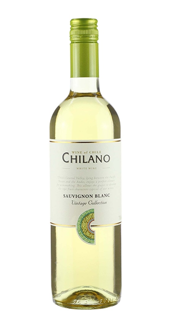 VINHO CHILE CHILANO SAUV BLANC 750ML